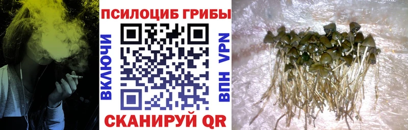 Псилоцибиновые грибы Psilocybe  Семёнов 